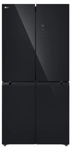 LG F434GBMB1B 425公升變頻式纖薄法式對門雪櫃